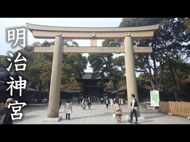 [Tokyo VR Walk] Walk in Meiji Jingu Shrine @8K 360° VR / Mar 2021