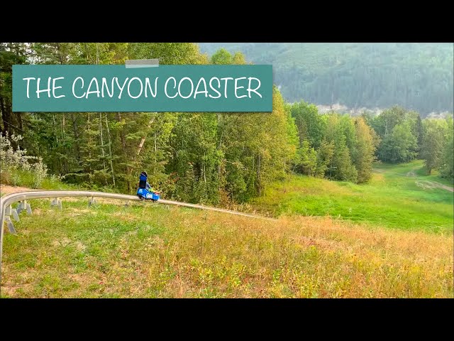 Soar down the 1300m luge track at Alberta’s First & Only Alpine Canyon Coaster 🎢