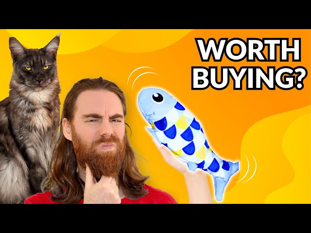 Catit Groovy Fish: Is It WORTH Your Money?