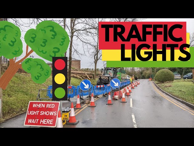 Roadside Leaning Tree Removal (Using Traffic Management)