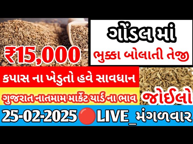 ગોંડલ માર્કેટ યાર્ડ | આજ ના બજાર ભાવ || #Gondal market yard | Bajar Bhav | kapas na bhav |