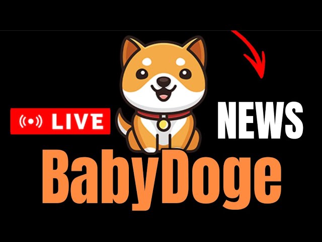 BabyDoge NEWS Major Announcement BABYDOGE SWAP LIVE