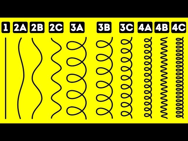 Find Out Your True Hair Type with This Simple Test