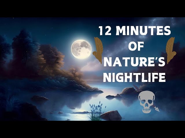 ASMR Sleep Aid #14 (12 Minutes Of Nature's Night Life) #asmr #calm #sleep #sleepaid #ambience #relax