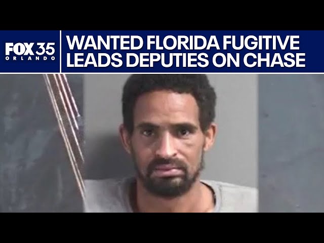 Wanted Florida fugitive leads deputies on chase, gets taken down by K-9