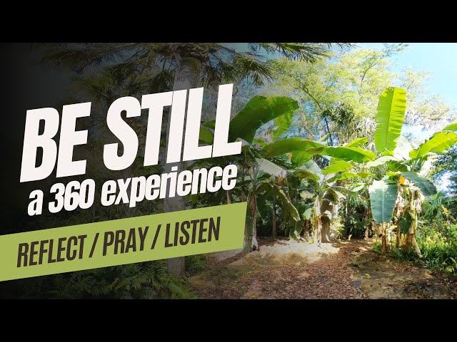 Banana Trees & Gentle Breezes | A Be Still VR 360 Experience