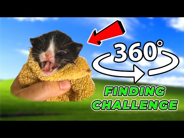 360° Kitten Meow - FIND KITTEN MEOW - VR 360 Video 🔎🐈‍⬛