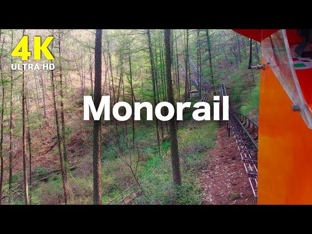 4K Monorail in Forest with Nature Sounds, South Korea