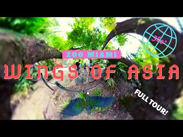 Zoo Miami Wings of Asia Exhibit - Full 5.2K 360° VR Experience!