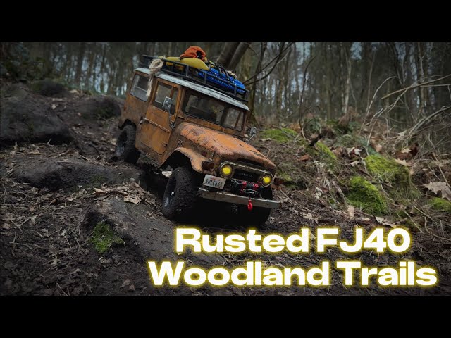 1/10 Scale Toyota FJ40 Stunning British Woodland Trails