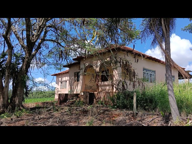 Sogro Morre de Disenteria Por Tomar Vinho de 20 Anos que Era do Genro, Assista Entenda Essa História