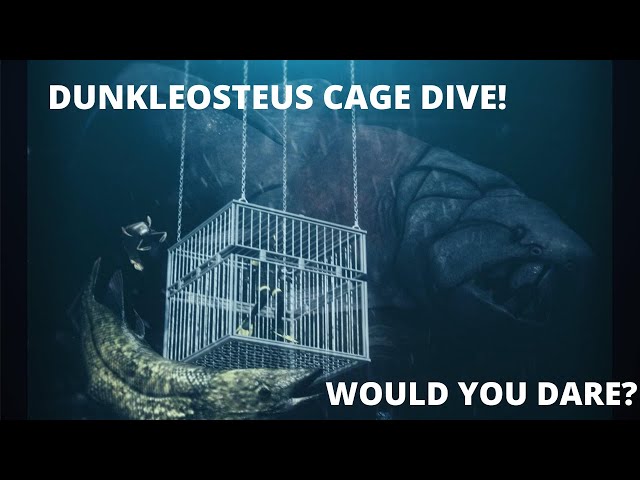 Dunkleosteus Cage Dive at Sea Monster Cove #prehistoric #theMeg #Dunkleosteus