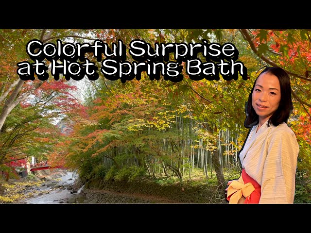 ♨️You’ll Be Shocked by Visitors to This Hot Spring Bath: Arai Ryokan, Shuzenji, Japan