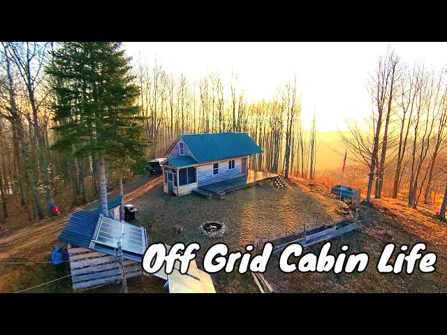 Back To Business At The Off Grid Cabin