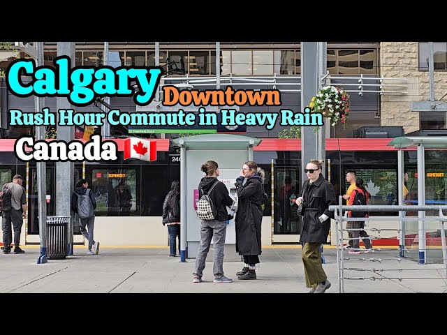 Calgary Downtown's Rush Hour Commute in Heavy Rain on June 2024 #canada #calgary #Alberta