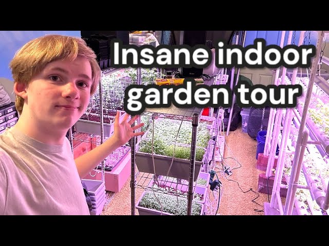 My INSANE Indoor Garden Setup Will Blow Your Mind