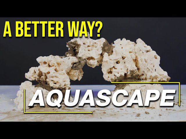 Today’s Aquascaping Techniques: 10 Questions That Guarantee a Healthy, Beautiful Aquarium Aquascape