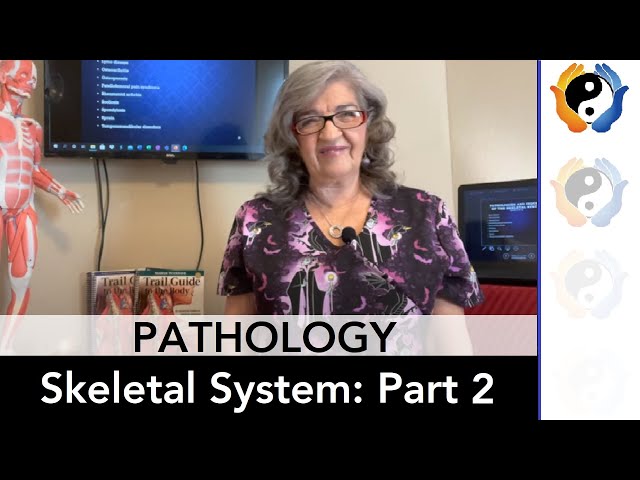 Skeletal System Pathologies: Part 2