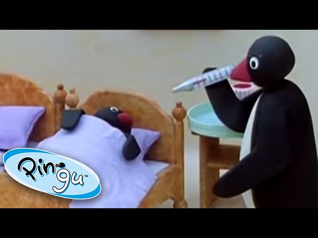 Pingu Pretends to Be Sick | Pingu Official | Cartoons for Kids