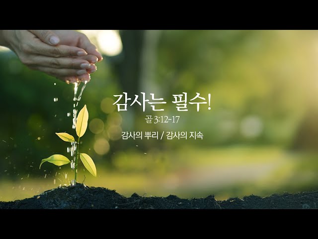 [예원교회] 주일 전체예배 (3부) - 감사는 필수! (골로새서3:12~17) - 정은주목사 - 2025.02.09.