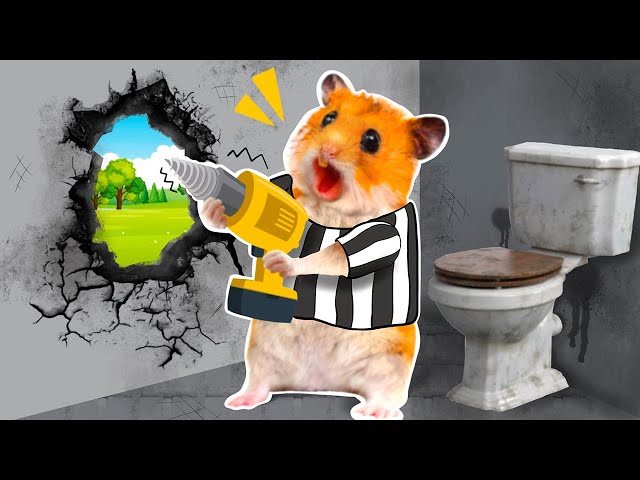 Hamster Escape From Maximum Security Prison With Baby Boss