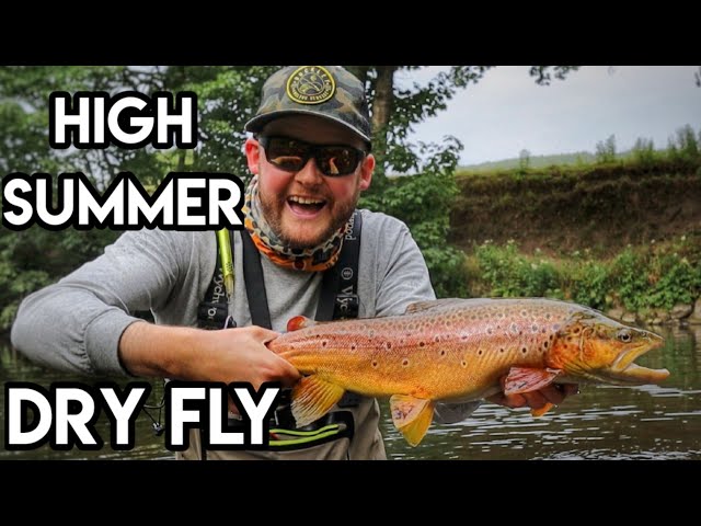 VENUE PB! Brown Trout Fishing Dry Fly Fishing On The River Derwent