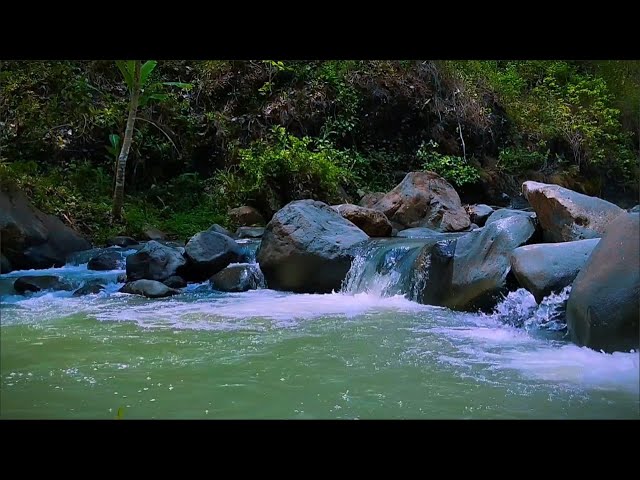 Tranquil River Flowing Sound for Stress Relief, Mental Peace & Deep Relaxation | Nature Sounds