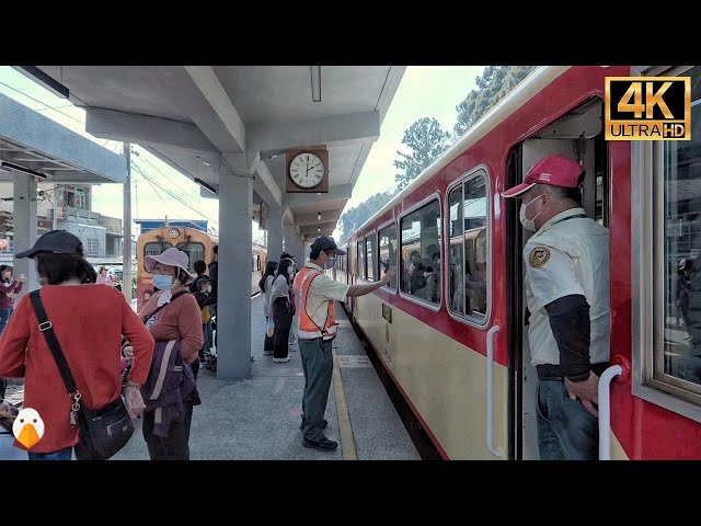 Fenqihu, Chiayi, Taiwan🇹🇼 Lively Small Village on Chiayi Alishan Railway (4K HDR)