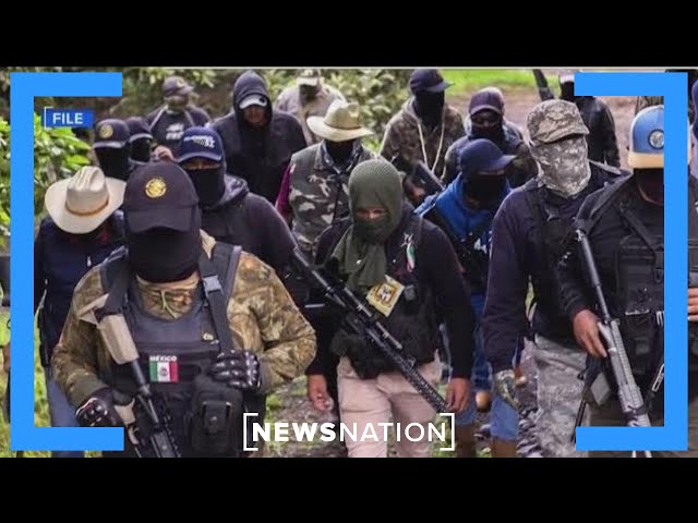 Trump declares Mexican cartels as foreign terrorist organizations | NewsNation Live