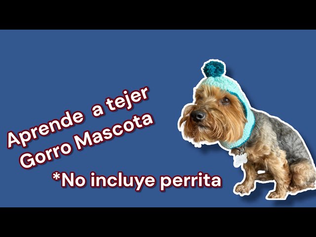 Cómo tejer un gorro para tu #mascota paso a paso tutorial #crochet (subtítulos)