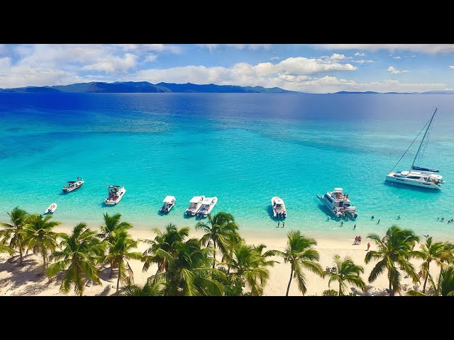 Soggy Dollar Bar LIVE Webcam on White Bay, Jost Van Dyke, BVI