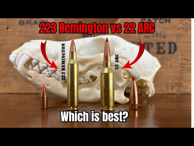 22 ARC vs 223 Remington: Which is the best AR hunting round?