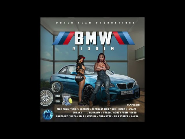 Bmw Riddim Mix (2021) By DJ WOLFPAK