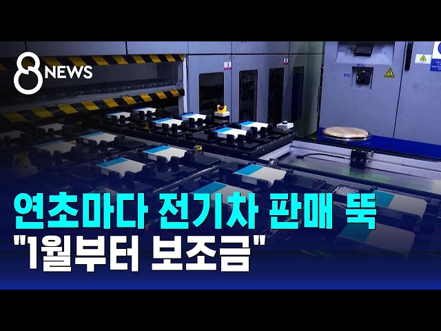 연초마다 '전기차 판매 절벽'…"보조금 1월부터" / SBS 8뉴스