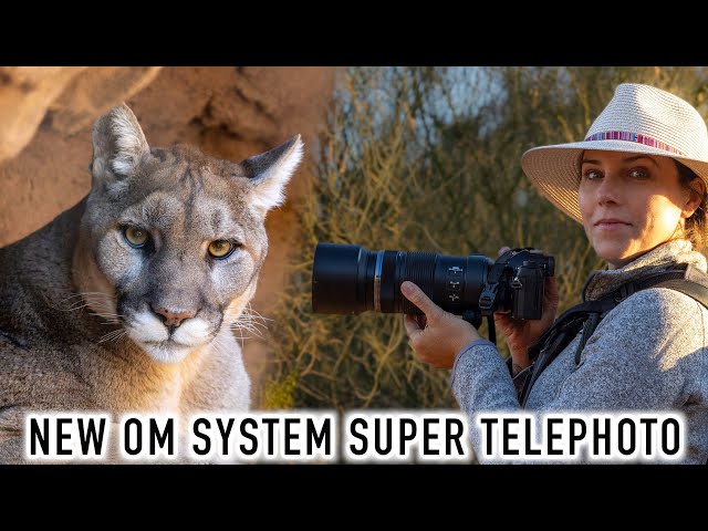 NEW Super Duper Telephoto Lens! OM SYSTEM ED 100-400mm f/5-6.3 IS II