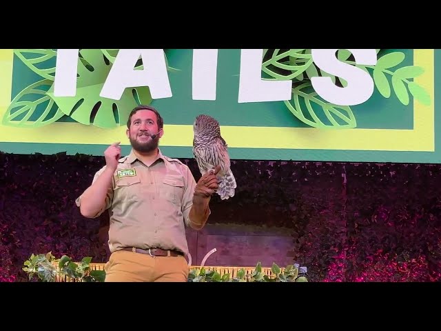 Rescue Tails - Busch Gardens Tampa All New Animal Presentation in Pantopia Theater