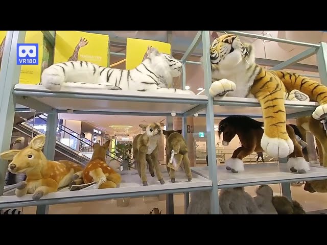 3D 180VR 4K All of animals are here Zoo Toy Shop in Grand Park Lion Tiger Horse Dog etc