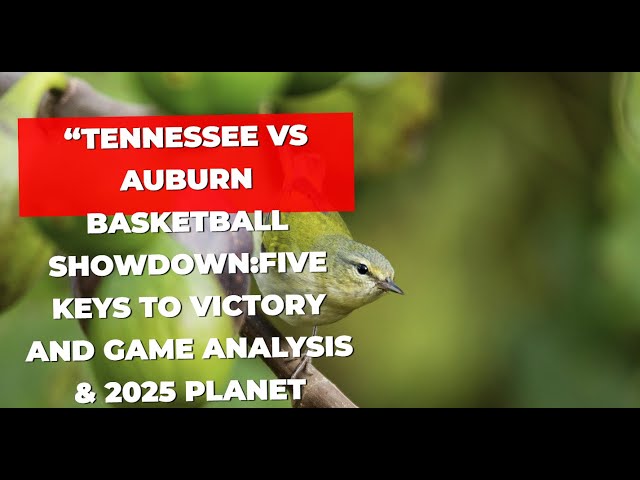 “Tennessee vs Auburn Basketball Showdown:Five Keys to Victory and Game Analysis &2025 Planet Parade”