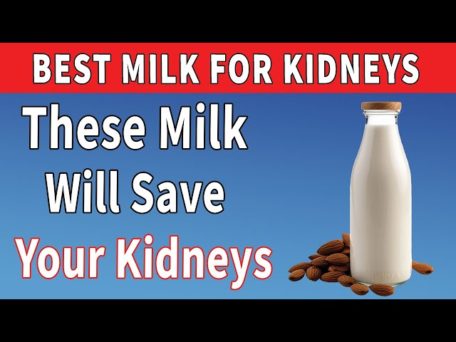 6 Best Milk Options for Kidney Disease (Low Phosphorus & Safe!)