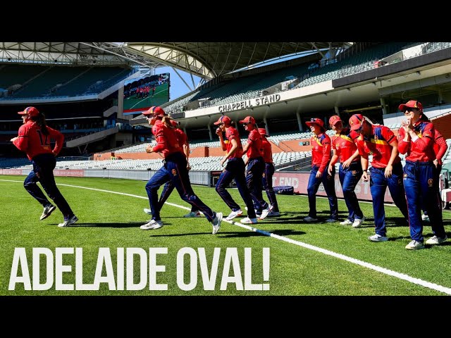 Behind The Scenes At Adelaide Oval For A WNCL 50 Over Game Against Queensland