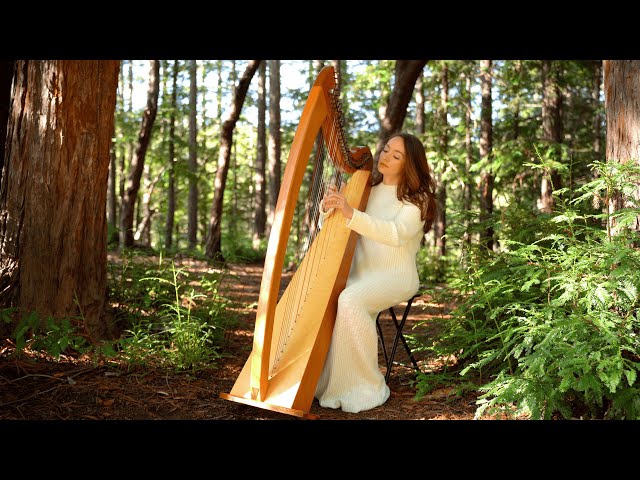 Calming Light: 1 Hour of Relaxing Harp Music