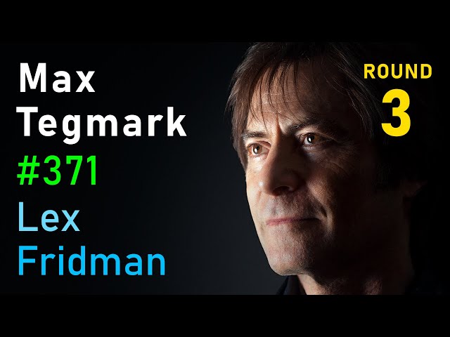 Max Tegmark: The Case for Halting AI Development | Lex Fridman Podcast #371