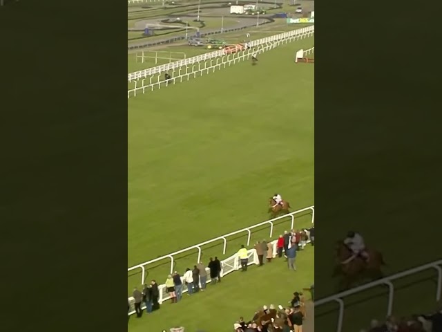 Dramatic finish to this race! #horse #horseracing #racingtv #sport #britishhorseracing