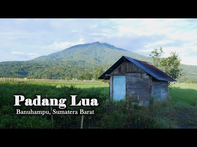 Exploring the PADANG LUA Farmland on a Cold and Calm Morning in West Sumatra, Indonesia