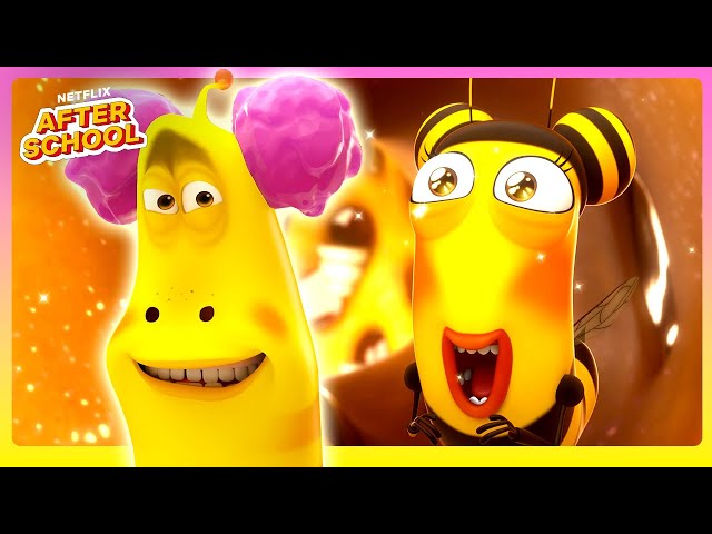 Larva Honey HEIST! 🍯 🐝 Larva Family | Netflix After School