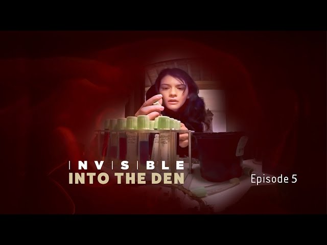 Invisible - Director's Cut - Episode 5 - Into The Den