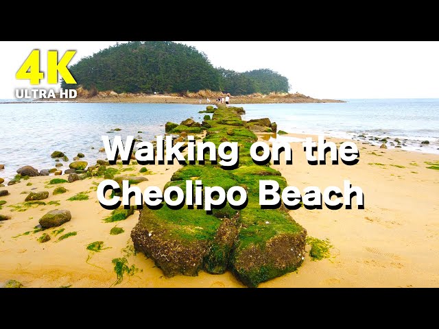 4K UHD Walking Video | Walking on the Cheolipo Beach | South Korea Nature