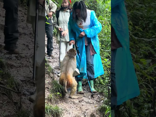 Sheepskin Cave: Avoid Lightning ⚡ & Discover the Monkey's Story 🐒 #Adventure #Waterfall