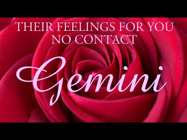 GEMINI love tarot ♊️ They’re Longing For You And Want To Apologise