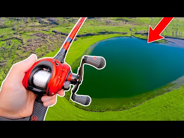 Fishing for 10lb Bass in LOADED Pond!